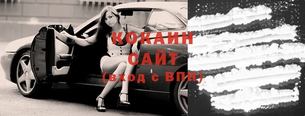индика Кукмор