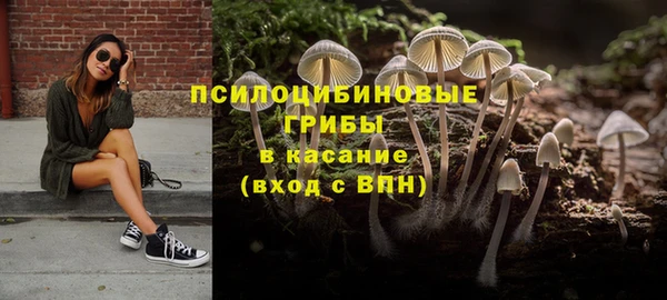 бутират Краснослободск