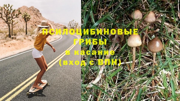 бутират Краснослободск