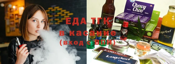 индика Кукмор