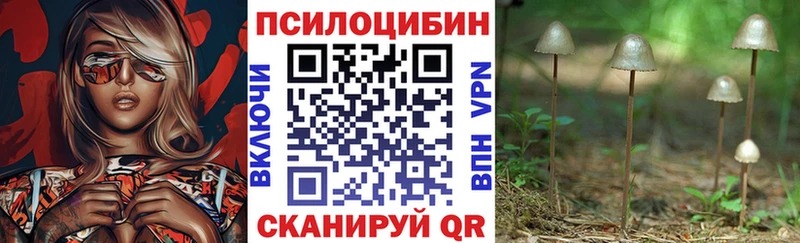 где купить   Медвежьегорск  Псилоцибиновые грибы Cubensis 